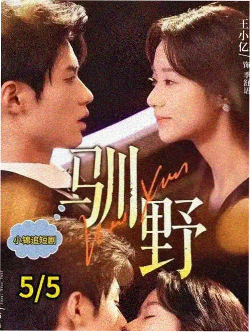 唐德影视古装剧集长街灯火录外传海报